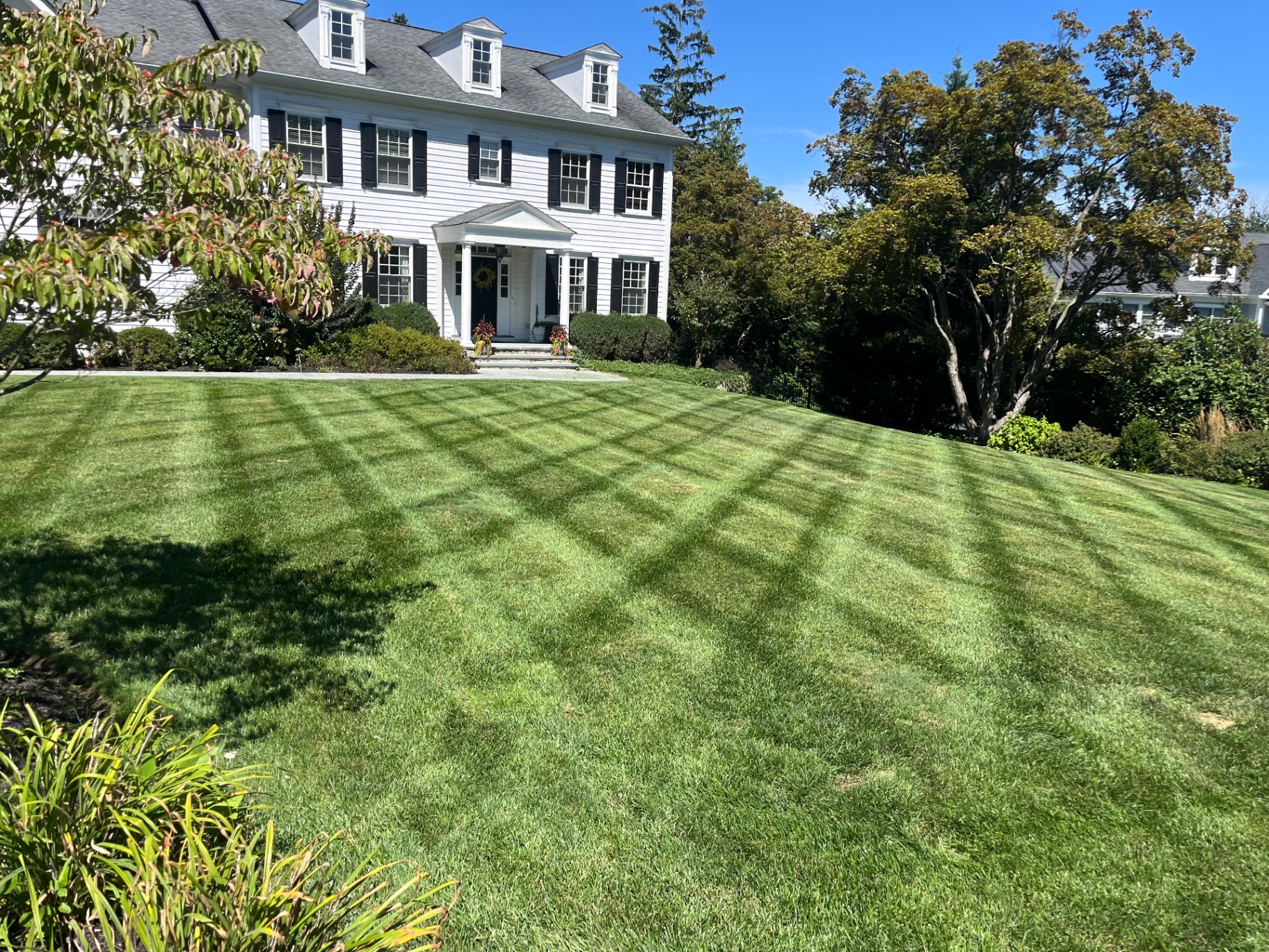 Manicured front lawn with crisp mowing stripes in front of a large home.